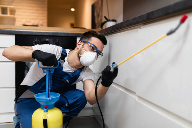 Best Exterminator Services  in Glandorf, OH