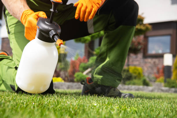 Best Residential Pest Control  in Glandorf, OH