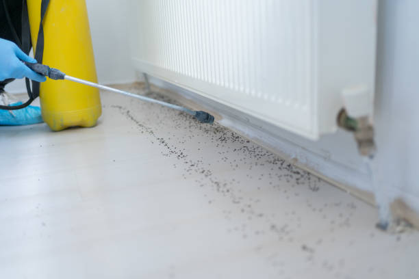 Best Pest Removal Services  in Glandorf, OH